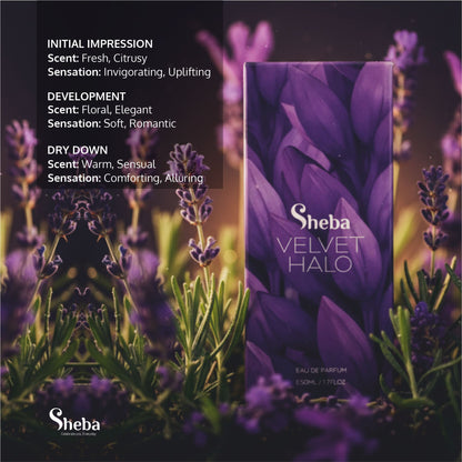 SHEBA VELVET HALO